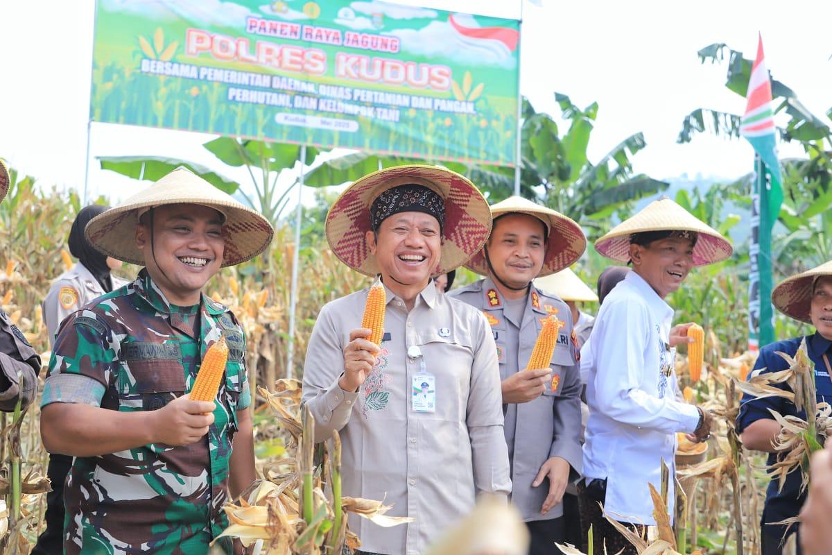 Panen Raya, Bupati Sam'ani Optimis Kudus Swasembada Jagung