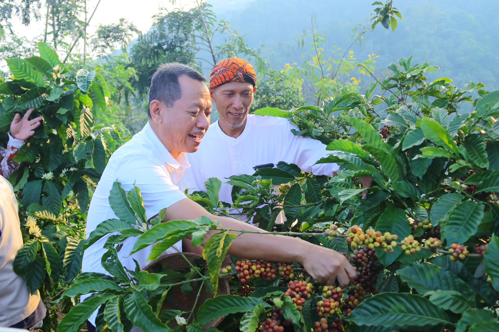 Tradisi Wiwit Kopi Desa Japan, Wujud Syukur dan Potensi Wisata Lereng Muria